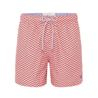 Men's Printed Swim Shorts